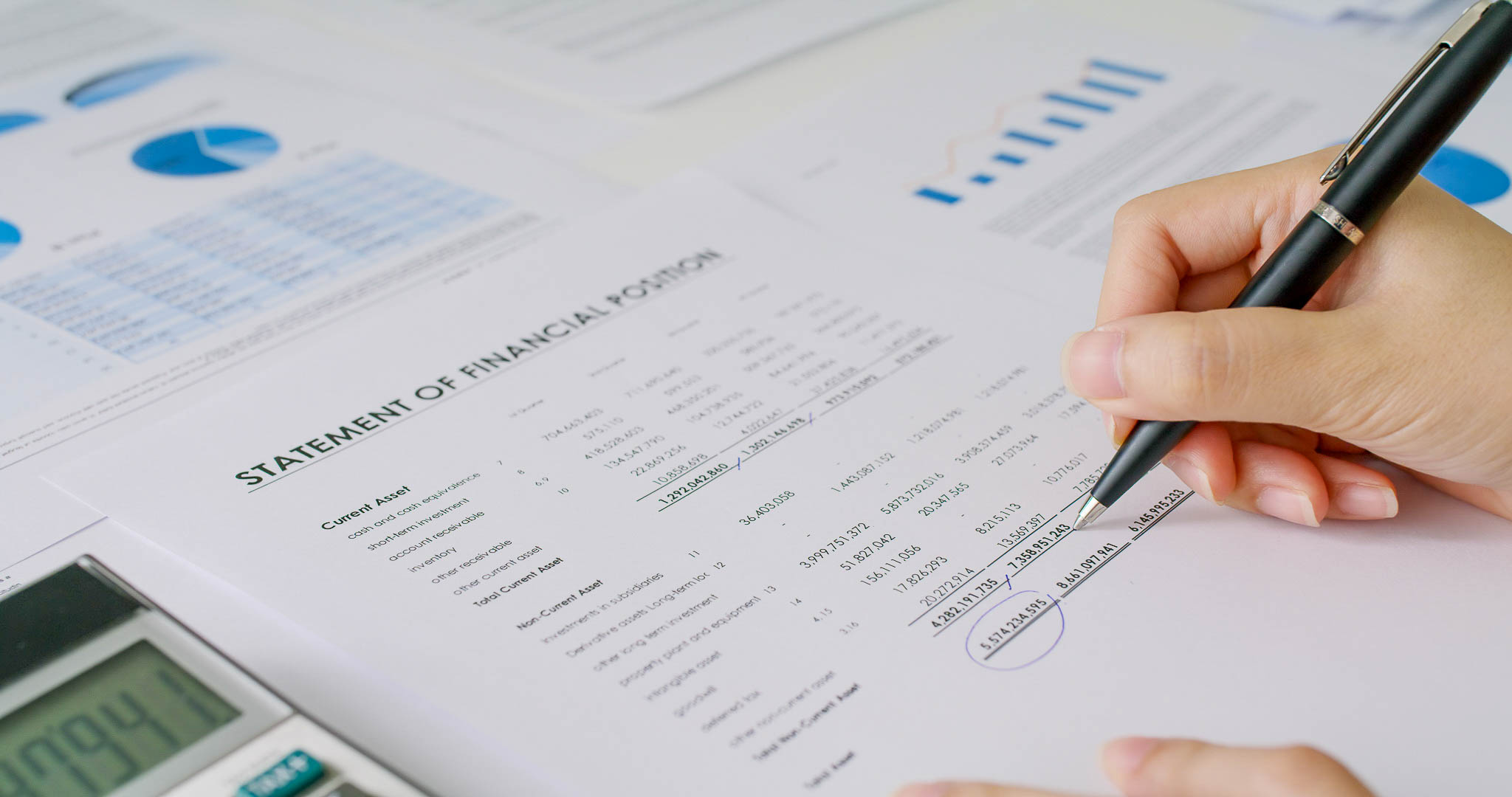 Reviewing financial statements